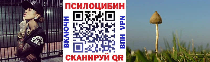 ОМГ ОМГ ТОР Яблоновский Галлюциногенные грибы Magic Shrooms цена